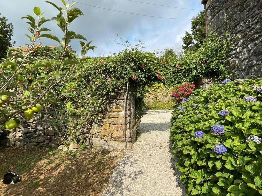 Lugar Do Curro, San Martino De Ozon Villa Muxia Eksteriør bilde