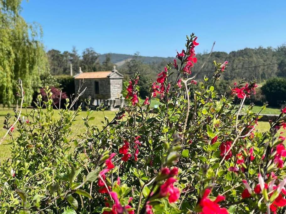 Lugar Do Curro, San Martino De Ozon Villa Muxia Eksteriør bilde